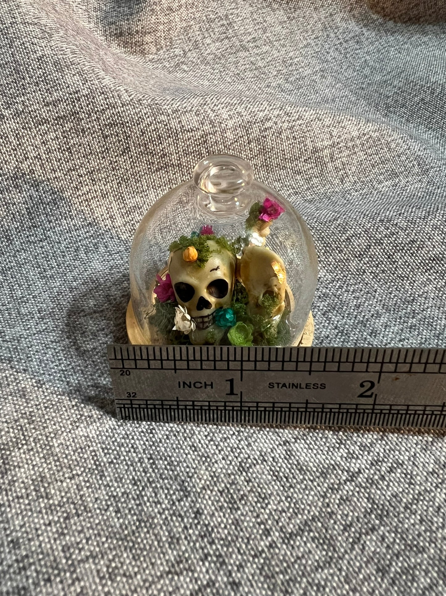 Glass Dome with Skull, Bones and Dried Flowers