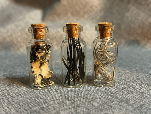 Miniature Apothecary Supplies: Bottles, Spell Books, Garlic