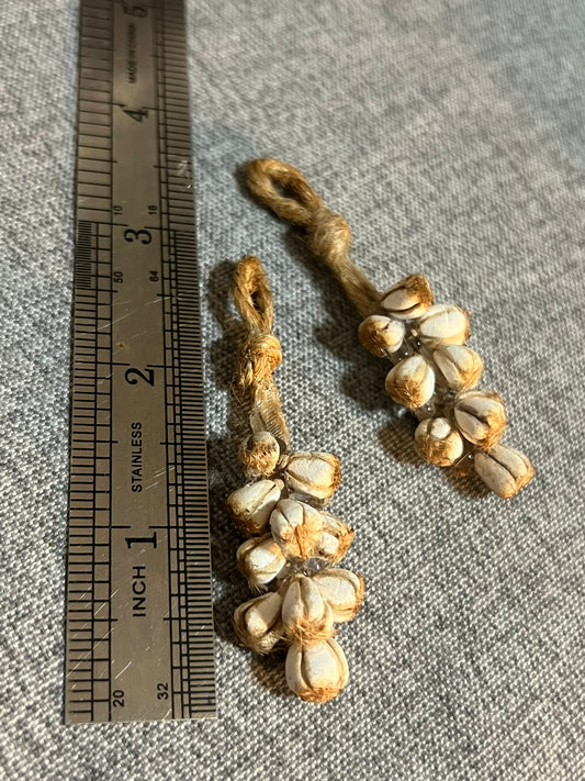 Hanging Miniature Garlic Bulbs