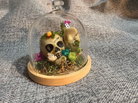 Glass Dome with Skull, Bones and Dried Flowers