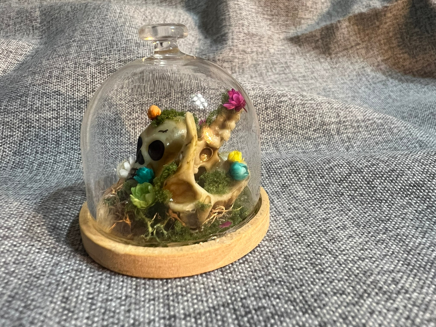 Glass Dome with Skull, Bones and Dried Flowers