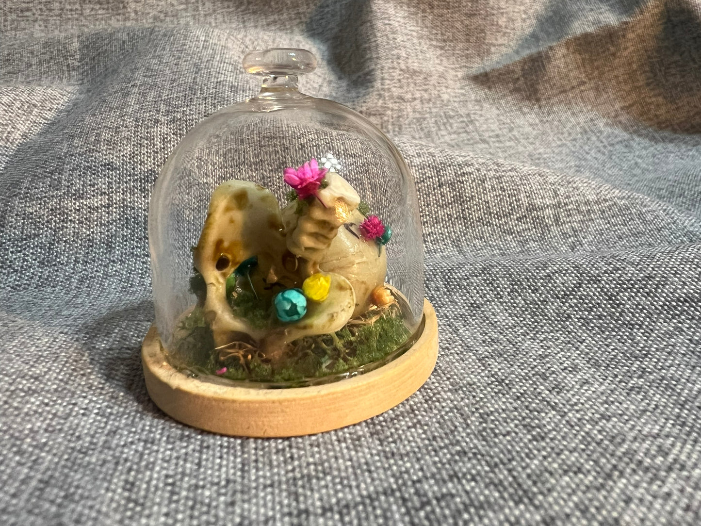 Glass Dome with Skull, Bones and Dried Flowers