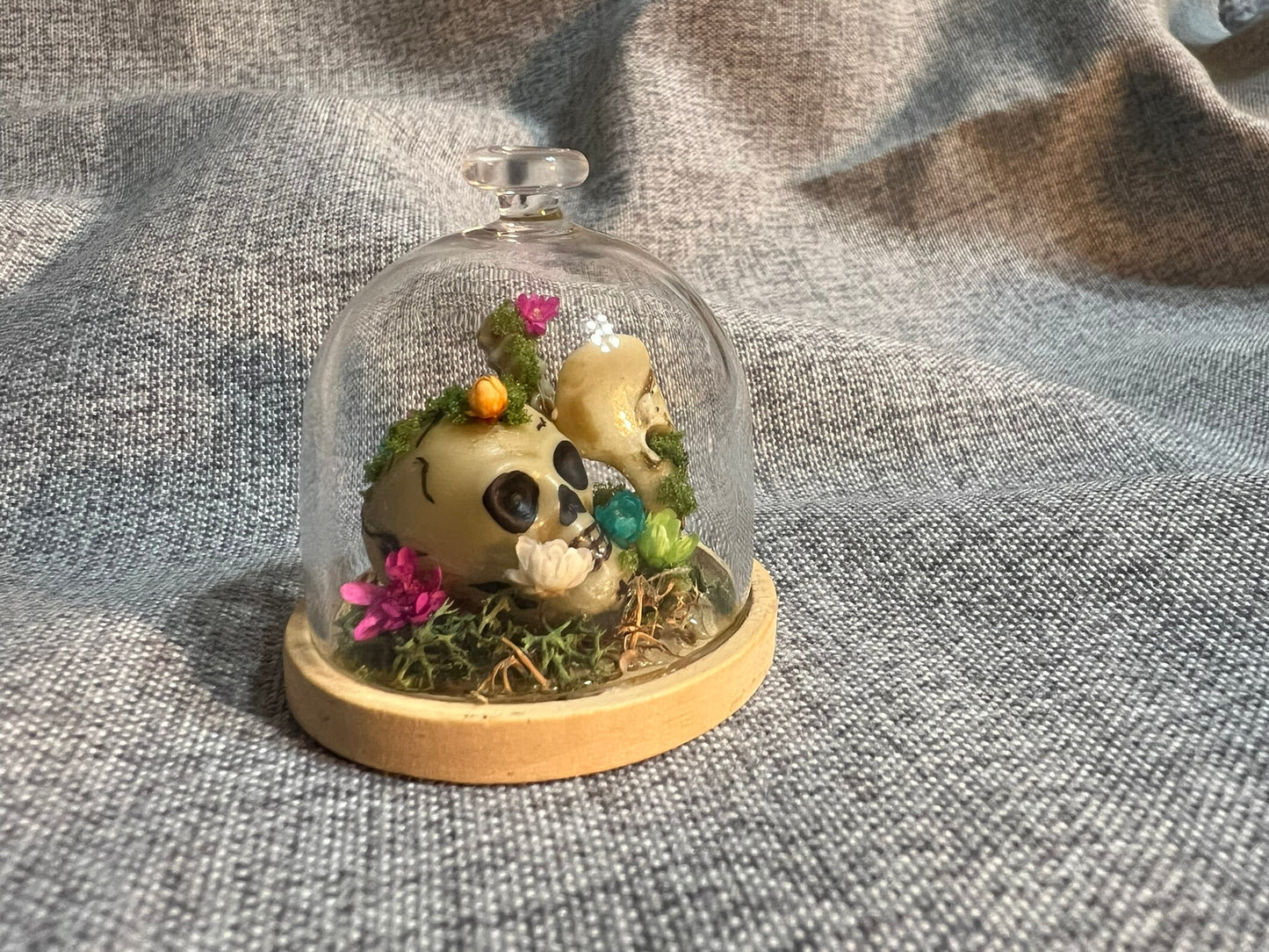Glass Dome with Skull, Bones and Dried Flowers