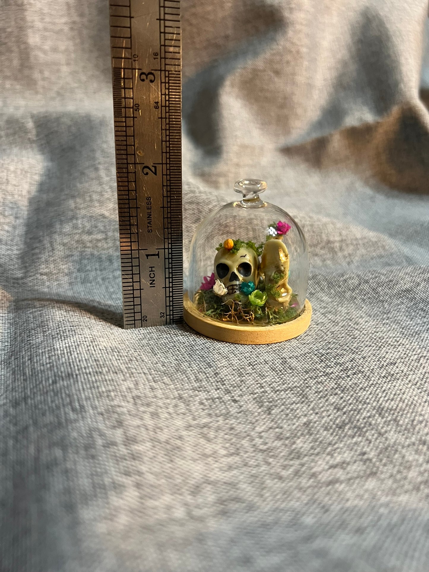 Glass Dome with Skull, Bones and Dried Flowers